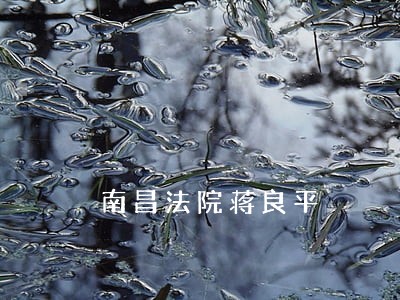 南昌法院蒋良平 南昌法院蒋良平