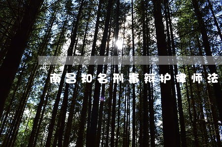南昌知名刑事辩护律师法律咨询