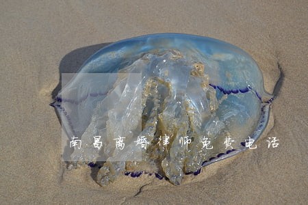 南昌离婚律师免费电话