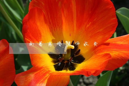 南昌离婚律师收费 南昌离婚律师收费