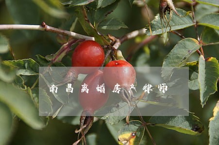 南昌离婚房产律师