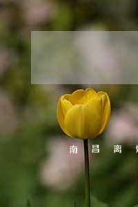 南昌离婚房产律师费用 南昌离婚房产律师费用