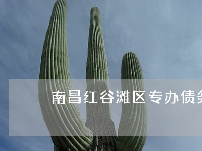 南昌红谷滩区专办债务律师电话 南昌红谷滩区专办债务律师电话