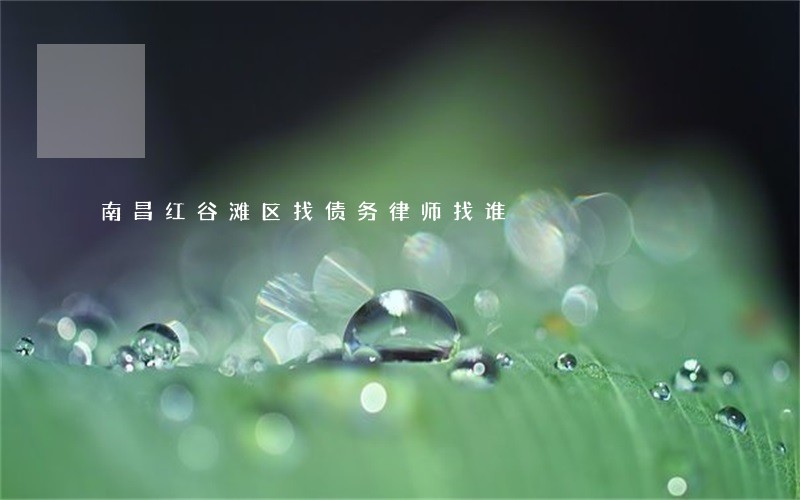 南昌红谷滩区找债务律师找谁