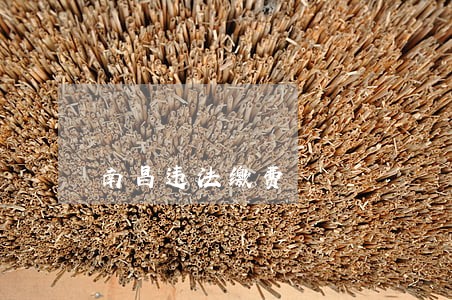 南昌违法缴费 南昌违法缴费