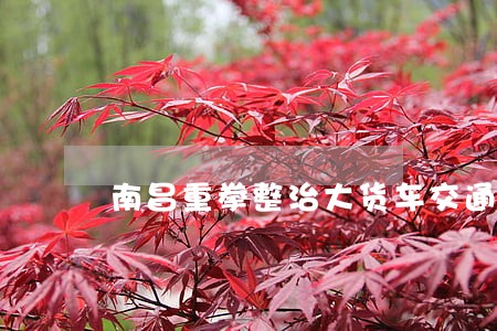 南昌重拳整治大货车交通违法 南昌重拳整治大货车交通违法