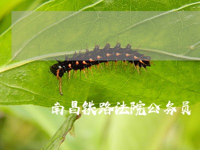 南昌铁路法院公务员 南昌铁路法院公务员