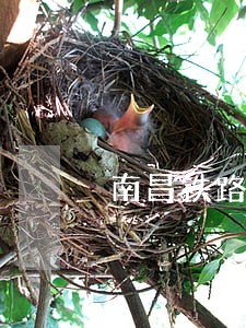 南昌铁路运输法院周边宾馆 南昌铁路运输法院周边宾馆