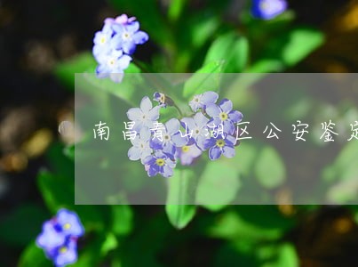 南昌青山湖区公安鉴定 南昌青山湖区公安鉴定