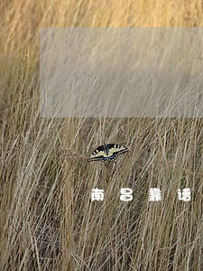 南昌靠谱的法律咨询报价 南昌靠谱的法律咨询报价