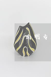 南明专业刑事咨询律师 南明专业刑事咨询律师