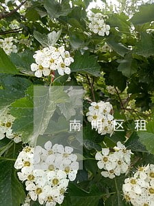 南明区租赁合同纠纷在线解答 南明区租赁合同纠纷在线解答