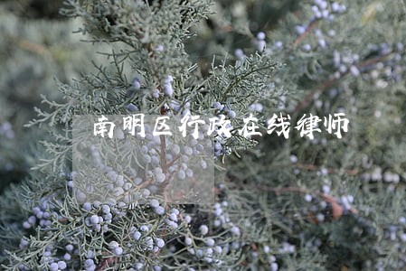 南明区行政在线律师 南明区行政在线律师