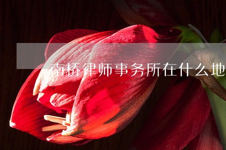 南桥律师事务所在什么地方 南桥律师事务所在什么地方