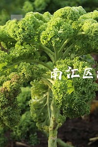 南汇区法律援助中心 南汇区法律援助中心