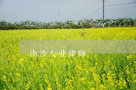 南沙专业律师 南沙专业律师