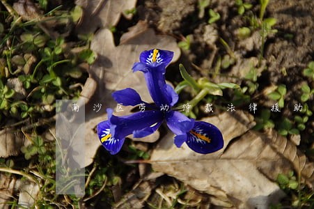 南沙区劳动仲裁法律援助 南沙区劳动仲裁法律援助