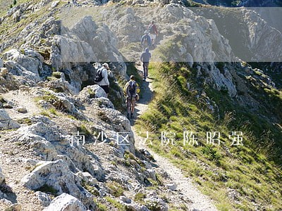 南沙区法院陈昭强