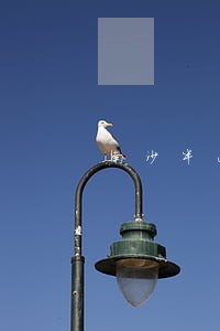 南沙半山广场违法