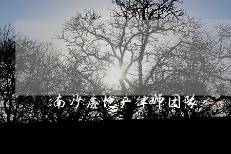 南沙房地产律师团队 南沙房地产律师团队