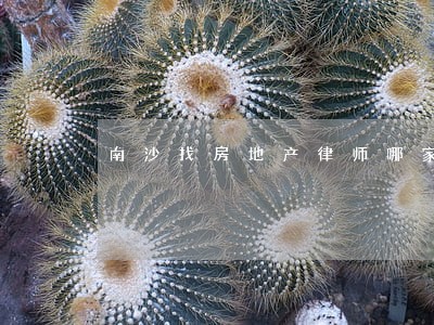 南沙找房地产律师哪家好