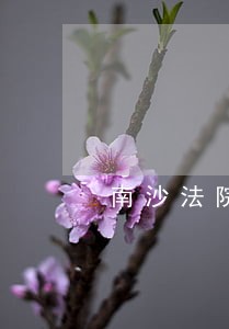 南沙法院线上调解