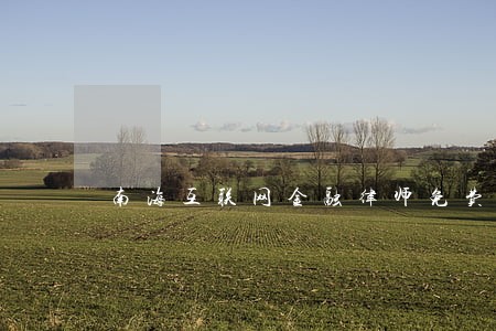 南海互联网金融律师免费法律咨询