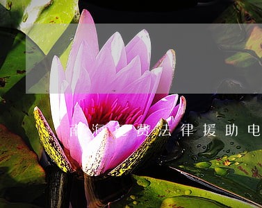 南海免费法律援助电话 南海免费法律援助电话