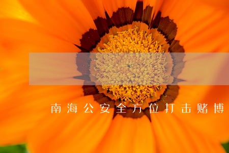 南海公安全方位打击赌博违法犯罪 南海公安全方位打击赌博违法犯罪