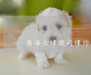 南海公律顾问律师择优推荐