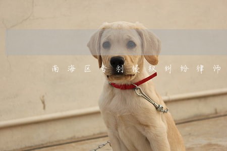 南海区专利侵权纠纷律师介绍 南海区专利侵权纠纷律师介绍