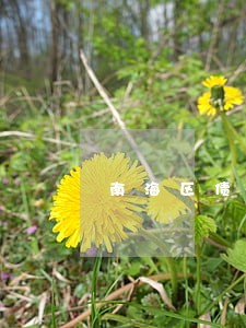 南海区债务合同律师找谁好 南海区债务合同律师找谁好