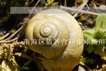 南海区债务合同律师费用 南海区债务合同律师费用