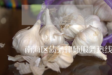 南海区债务律师服务热线 南海区债务律师服务热线