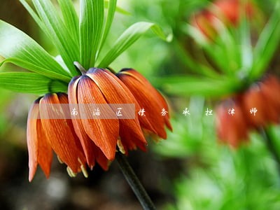 南海区债务承担律师 南海区债务承担律师