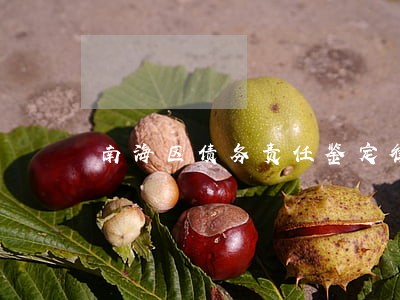 南海区债务责任鉴定律师联系方式 南海区债务责任鉴定律师联系方式