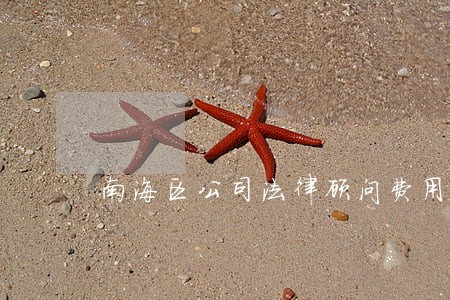 南海区公司法律顾问费用 南海区公司法律顾问费用