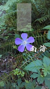 南海区工商税务律师 南海区工商税务律师