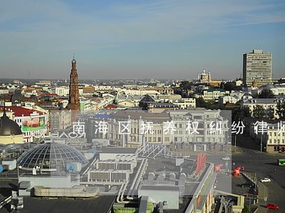 南海区抚养权纠纷律师 南海区抚养权纠纷律师