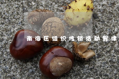 南海区组织传销活动罪律师 南海区组织传销活动罪律师