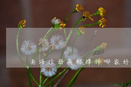 南海注册商标律师哪家好 南海注册商标律师哪家好