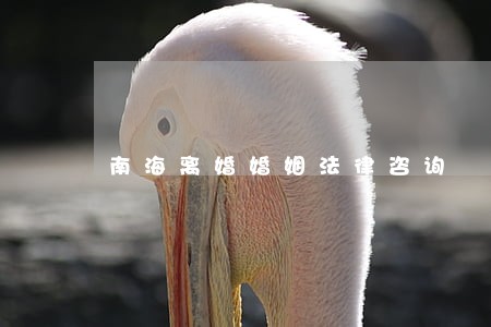 南海离婚婚姻法律咨询 南海离婚婚姻法律咨询