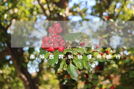 南涧合同纠纷律师排行