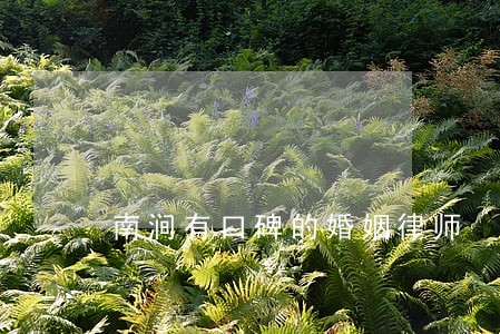 南涧有口碑的婚姻律师 南涧有口碑的婚姻律师