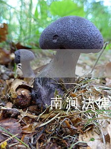 南涧法律顾问在线咨询 南涧法律顾问在线咨询