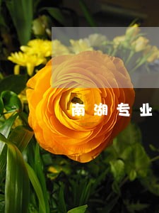 南湖专业离婚调解律师收费 南湖专业离婚调解律师收费