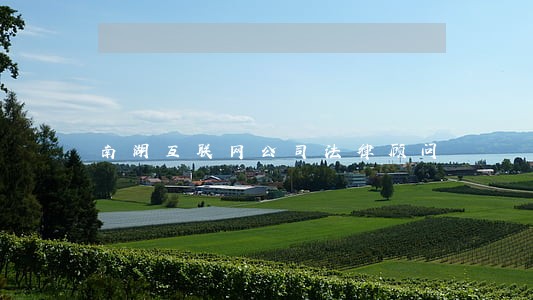 南湖互联网公司法律顾问 南湖互联网公司法律顾问
