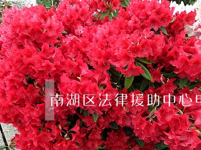 南湖区法律援助中心电话 南湖区法律援助中心电话