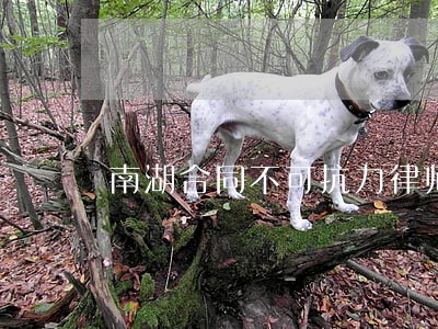南湖合同不可抗力律师收费标准 南湖合同不可抗力律师收费标准