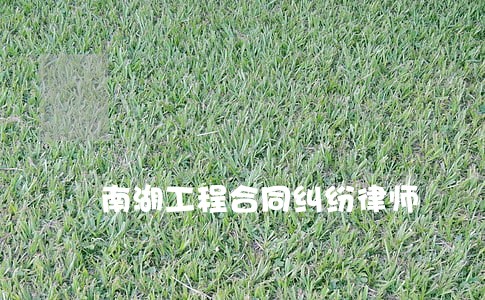 南湖工程合同纠纷律师 南湖工程合同纠纷律师